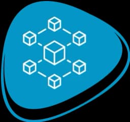 Blockchain Selection