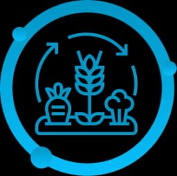 Yield Farming