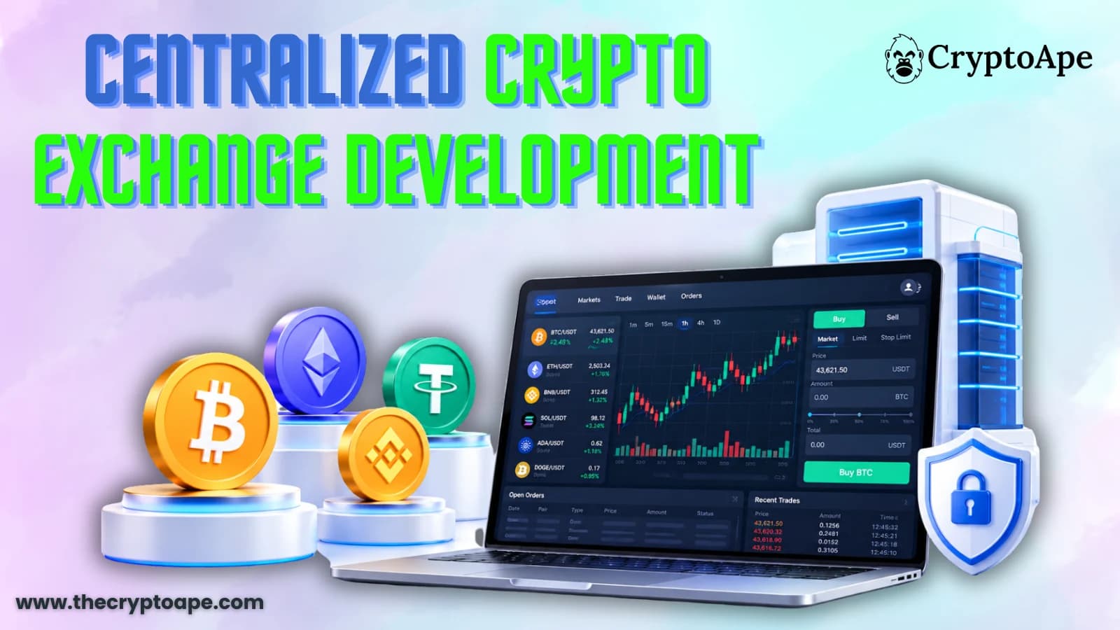 Centralized Crypto Exchange Development: What Does It Take to Launch Your Own Exchange?